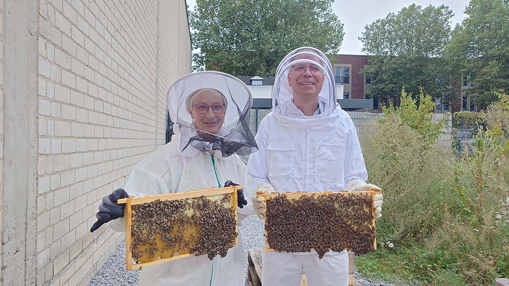 Bienen hautnah