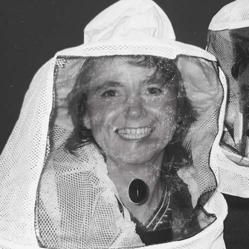 Historisches Bild der Imkerei