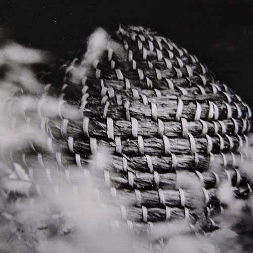 Historisches Bild der Imkerei