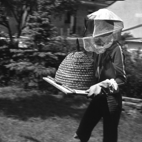 Historisches Bild der Imkerei