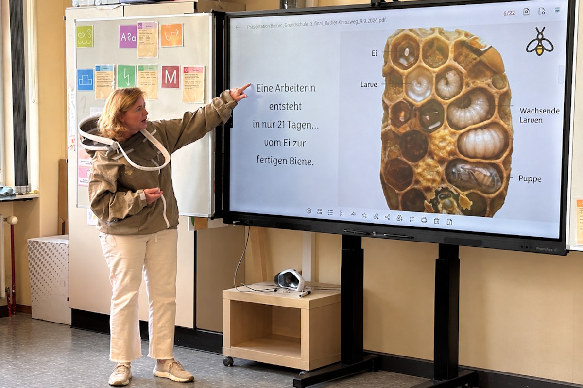 Bienenkunde in der Grundschule