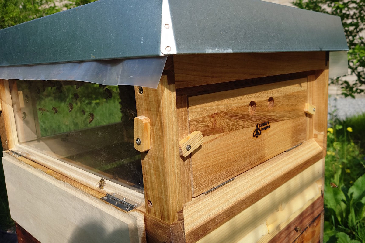 Bienenschaukasten